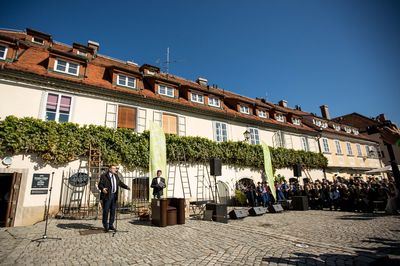 Najstarejša trta / World's Oldest Grapevine