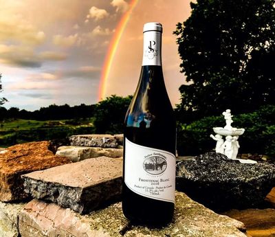 Potter Settlement Vineyards and Artisan Winery