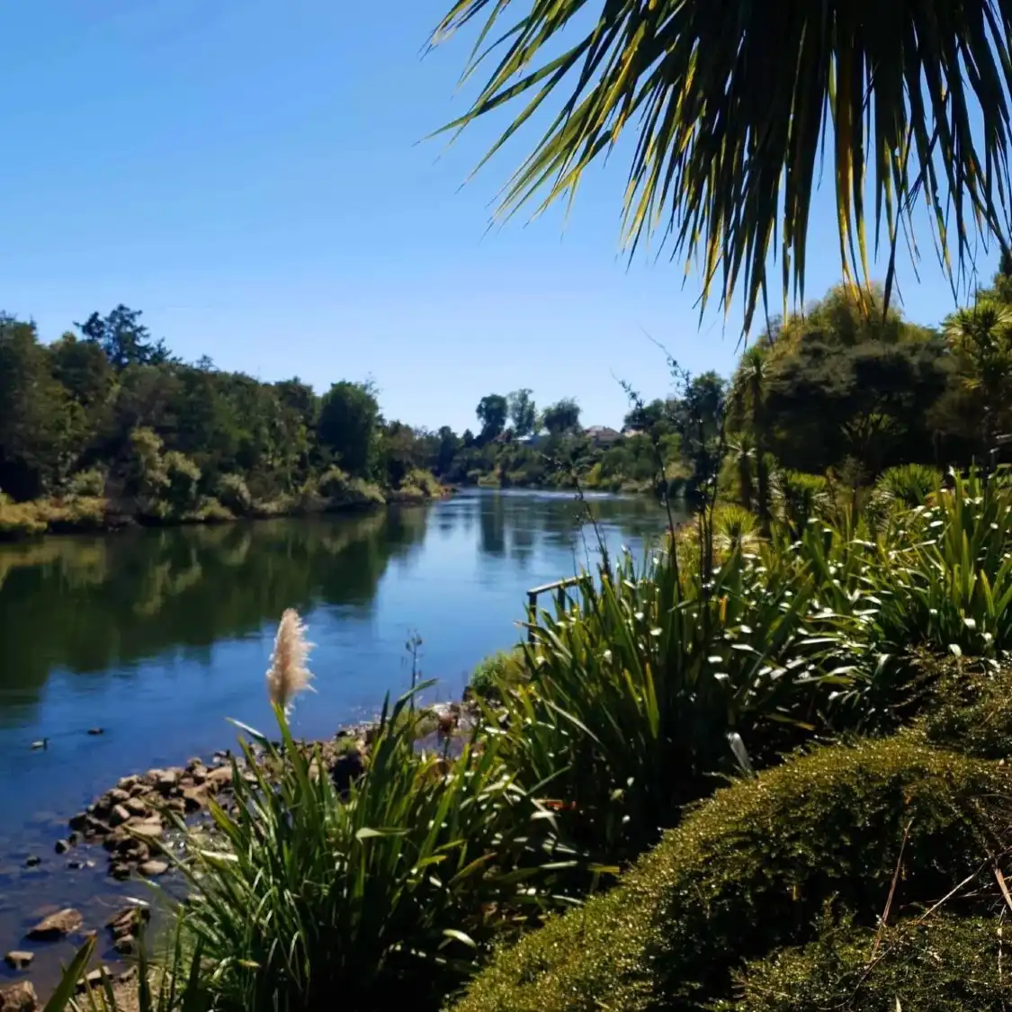 Hotels near Swarbrick Landing