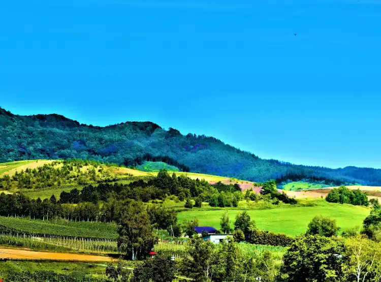 Hotels near Furano Budogaoka Park
