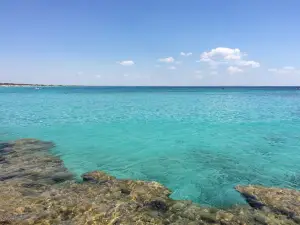 Spiaggia di Punta Prosciuto