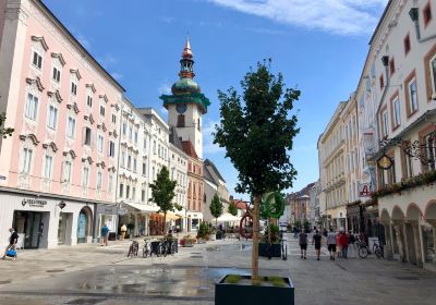 Wels