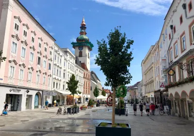 Wels