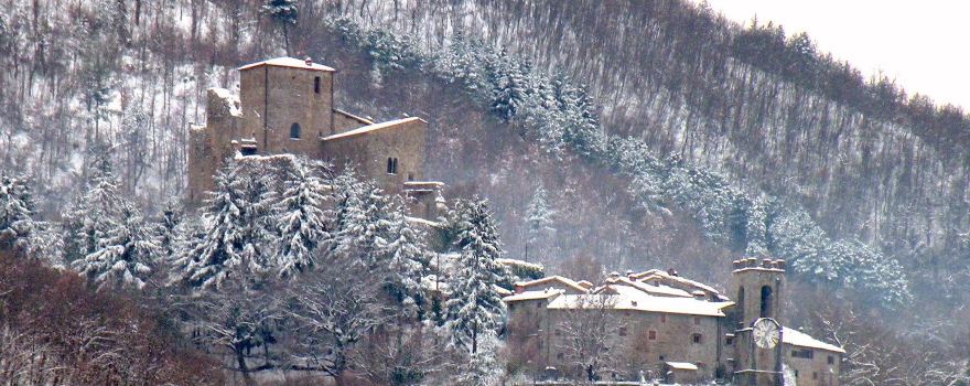 Castello di Castel San Niccolo