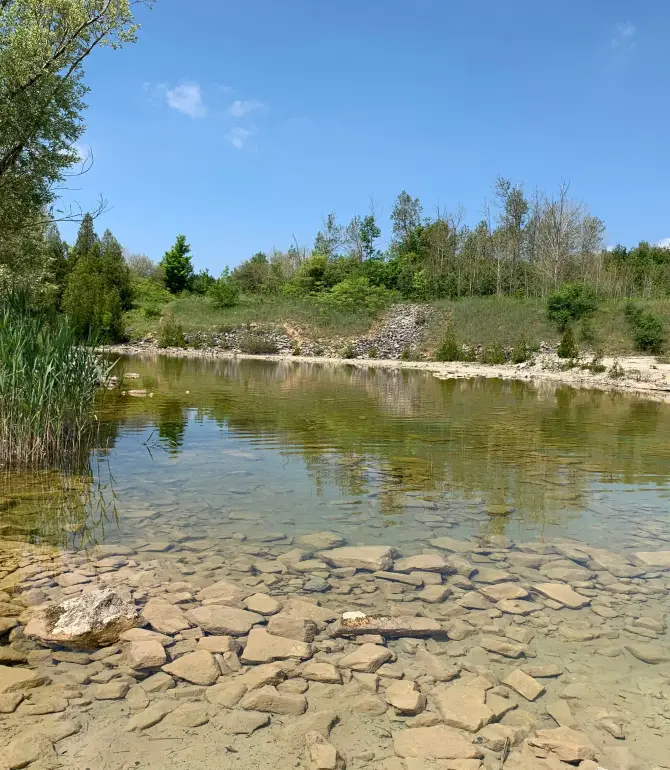Puslinch