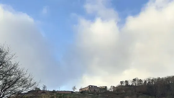 Burgruine Wolfsburg