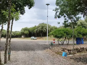 Paint Ball Valley