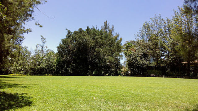 Ibis Gardens, Nakuru — Kenya