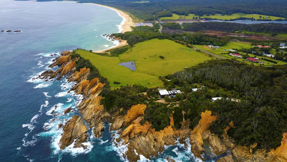 Michael Lerner Lookout