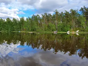 Movänta Camping