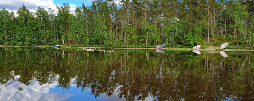 Movänta Camping