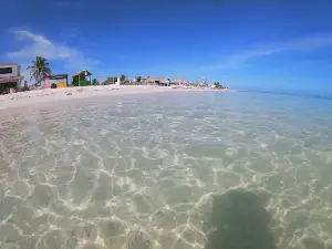PIG BEACH
