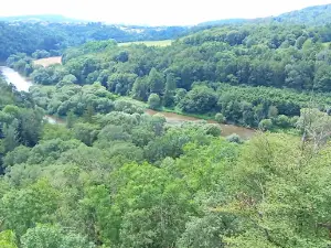 Castle ruins Týřov