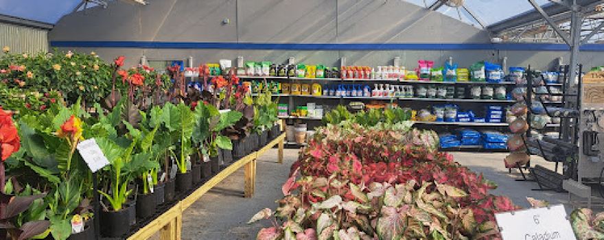 Roxbury Garden Center
