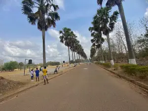 Dormaa S.H.S. Park