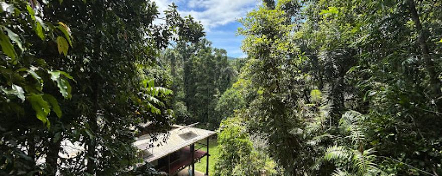 Prema Shanti Yoga & Meditation Retreat