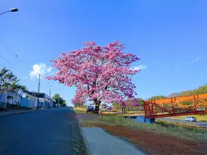 São Sebastião do paraíso