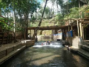 Wisata Pinus Sidomulyo