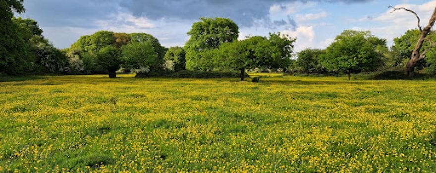 National Trust - Hatfield Forest