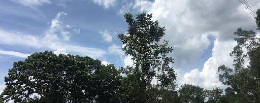 Chulabhorn Dam Public Park