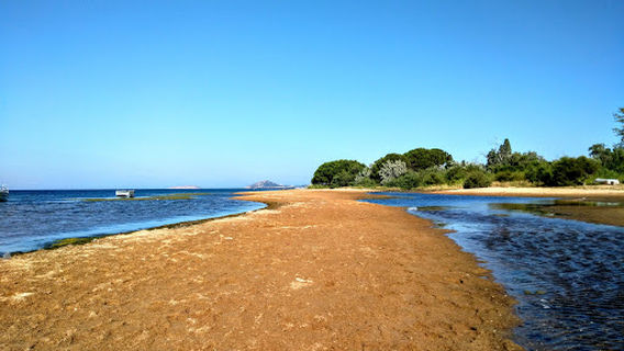Campsite Aldırmaz'ın