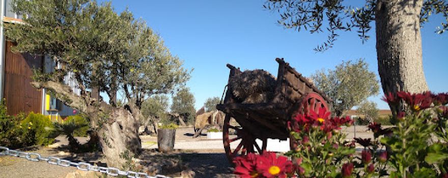 Finca El Cubilete