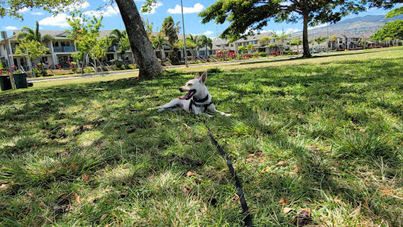 Mehana Neighborhood Park (Kapolei Greens)