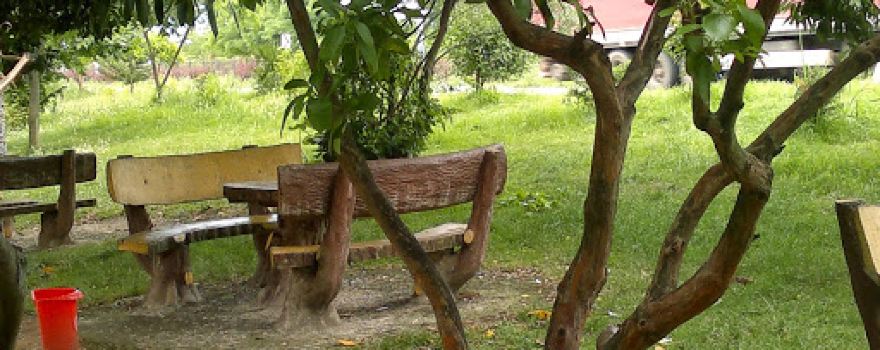 Piraziz Halı Saha