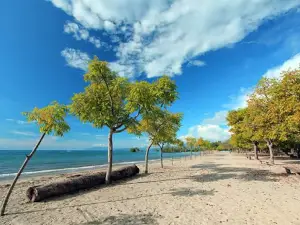 Pasir Putih Atapupu Beach