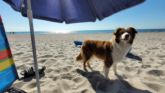 Hundestrand Grömitz