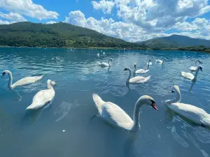 Pângărați