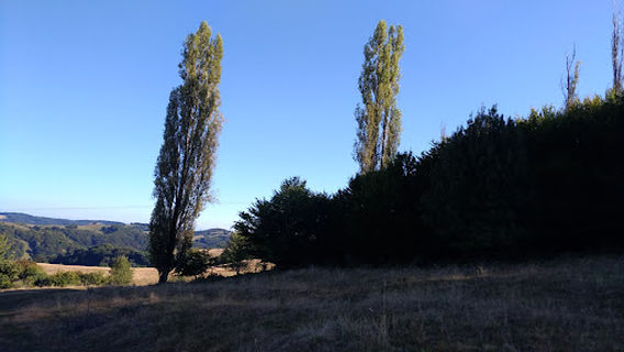 Mălâncrav