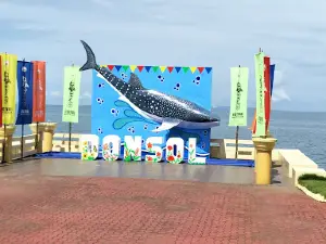 Donsol Whaleshark Tour Information