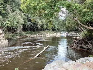 Lata Berkoh