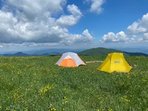 Max Patch