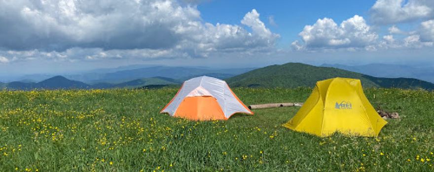 Max Patch