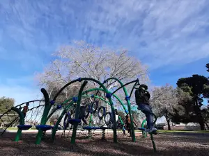 Dr. Powers Park