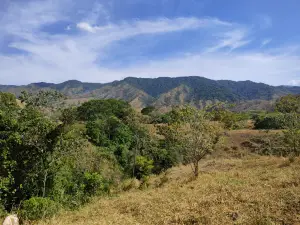Forest Reserve La Tronosa