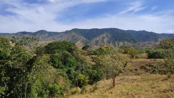 Forest Reserve La Tronosa