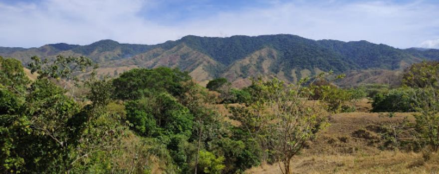 Forest Reserve La Tronosa