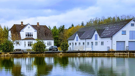 Truust Mill Fiskepark