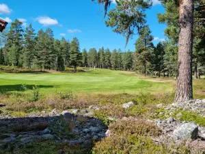 Klövsjöfjäll-Vemdalens Golf