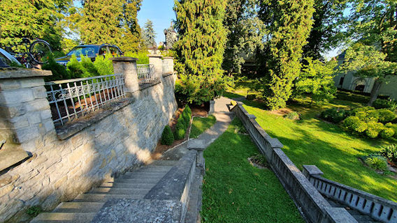 Zamek w Rogowie Opolskim