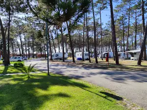 Orbitur Vagueira