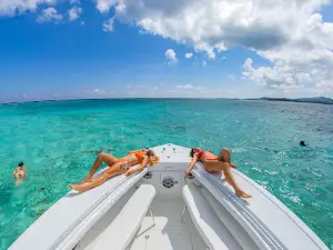Down South Charters - Fishing/ Snorkeling/ Sunsets/ Private