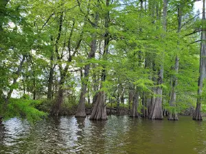 Horseshoe Lake-Alexander