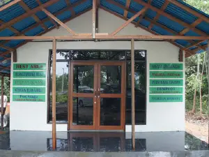 Hutan Gambut Jumpun Pambelom