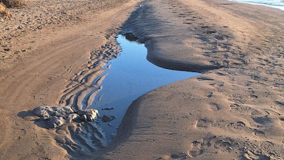 Oasi WWF Naturale di Orbetello