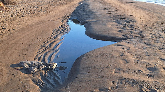 Oasi WWF Naturale di Orbetello