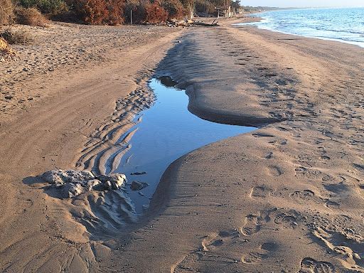 Oasi WWF Naturale di Orbetello